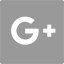 Google Plus Share Icon